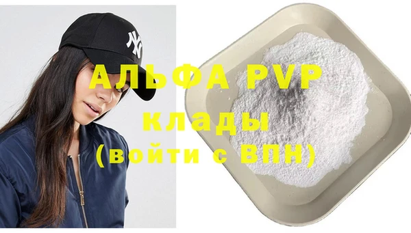 стаф Алзамай