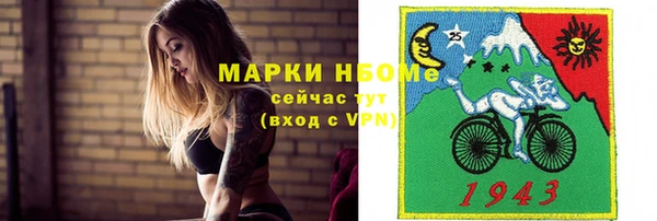 стаф Алзамай