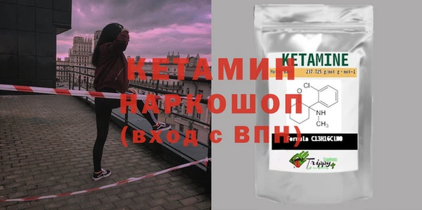 стаф Алзамай