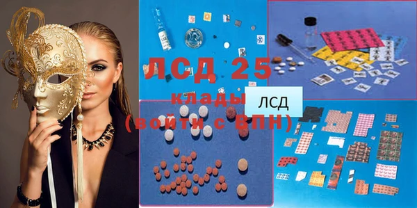 стаф Алзамай