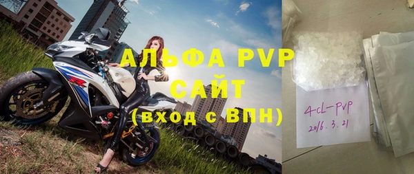 стаф Алзамай