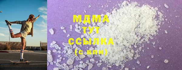 стаф Алзамай