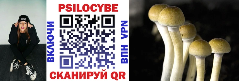 Галлюциногенные грибы MAGIC MUSHROOMS  Черноголовка 